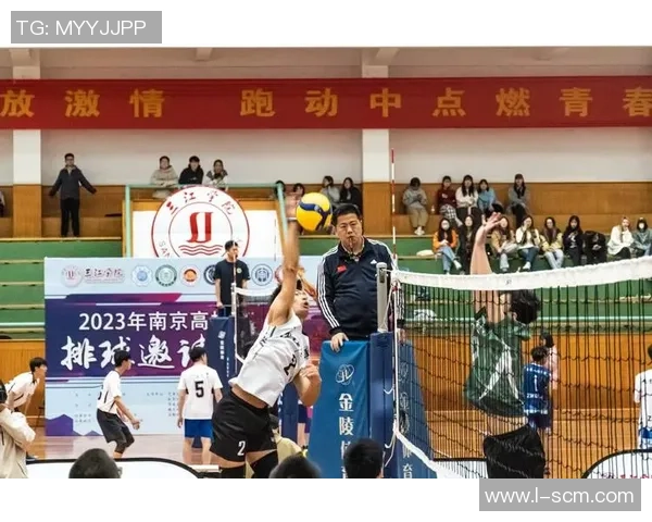 杭州排球队总决赛逆袭之路揭秘团队精神与奋斗历程