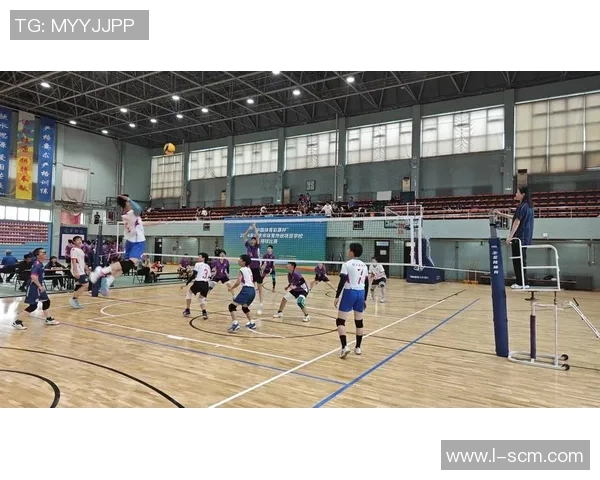 排球战术揭秘:深入分析北京排球队的制胜之道与训练秘诀