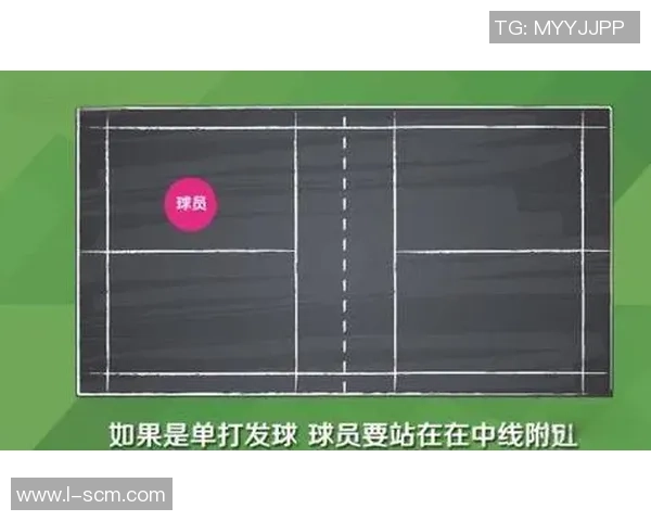 羽毛球盛宴：深入解析北京羽毛球队的极速训练与比赛策略