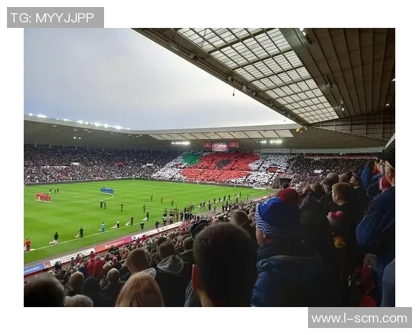 姓舍的足球明星们如何在绿茵场上书写传奇人生与辉煌成就